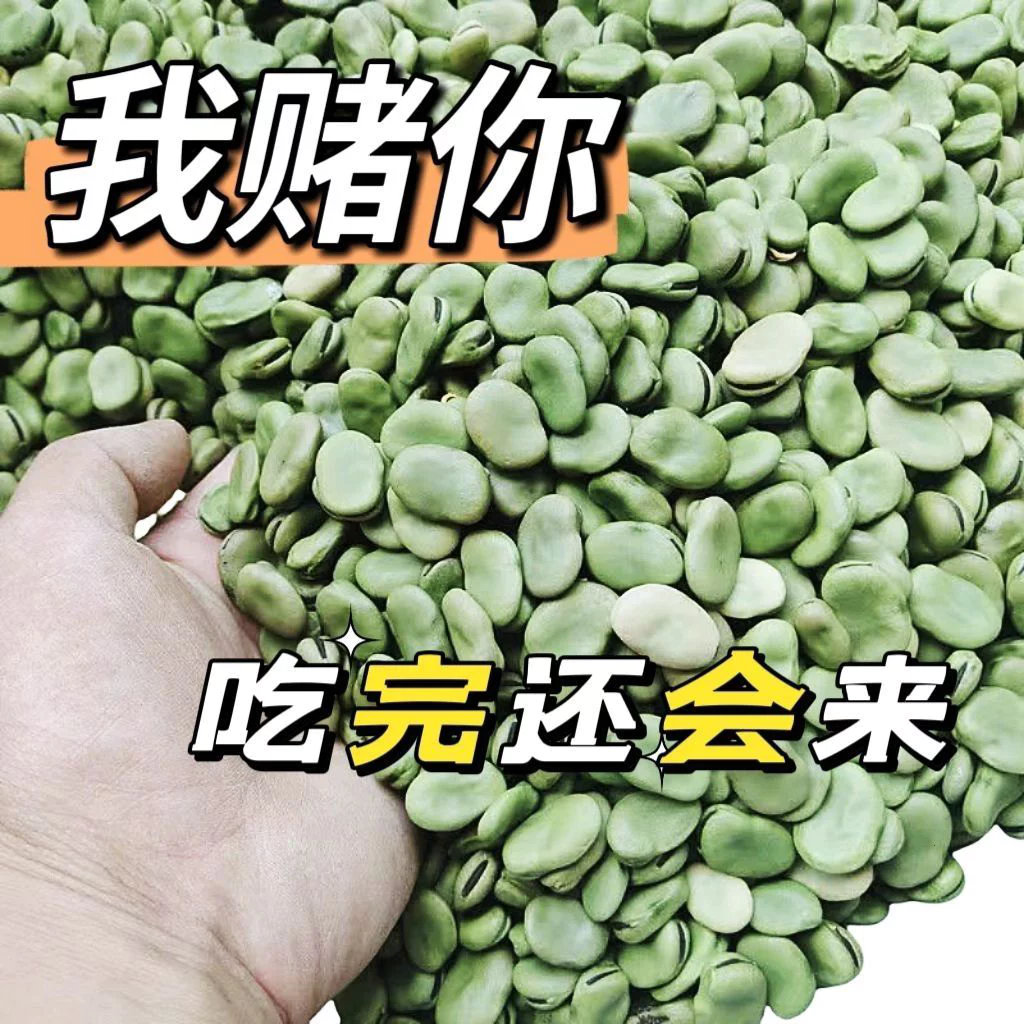 青皮干蚕豆