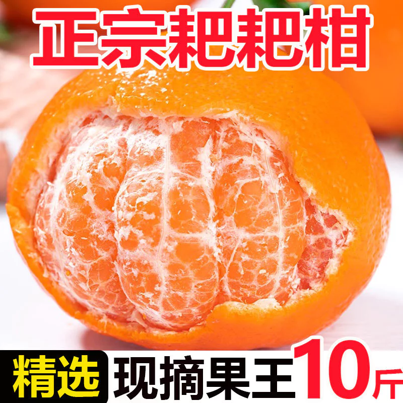 耙耙柑橘子